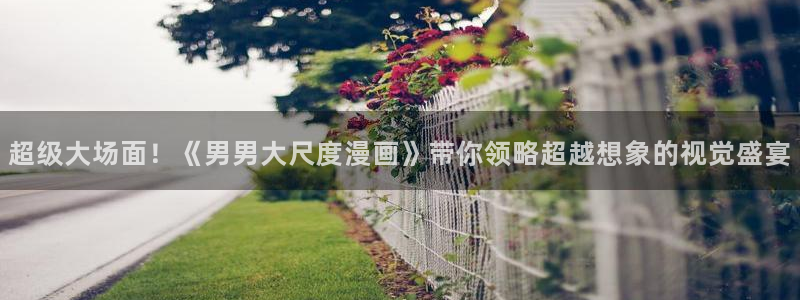 香蕉漫画官：超级大场面！《男男大尺度漫画》带你领略超越想象的视觉盛宴